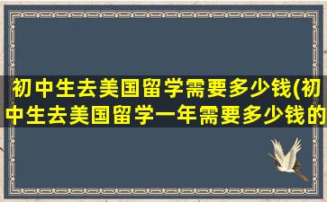 初中生去美国留学需要多少钱(初中生去美国留学一年需要多少钱的费用)