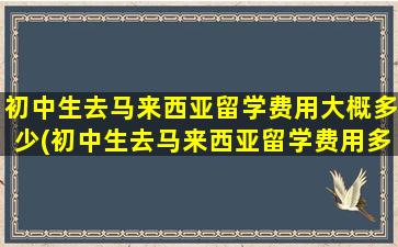 初中生去马来西亚留学费用大概多少(初中生去马来西亚留学费用多少钱)