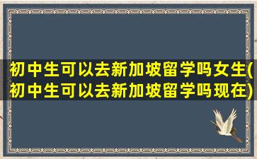 初中生可以去新加坡留学吗女生(初中生可以去新加坡留学吗现在)