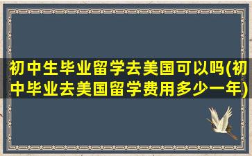 初中生毕业留学去美国可以吗(初中毕业去美国留学费用多少一年)