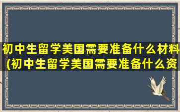 初中生留学美国需要准备什么材料(初中生留学美国需要准备什么资料)