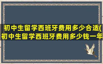 初中生留学西班牙费用多少合适(初中生留学西班牙费用多少钱一年)