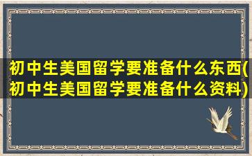 初中生美国留学要准备什么东西(初中生美国留学要准备什么资料)