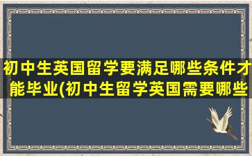 初中生英国留学要满足哪些条件才能毕业(初中生留学英国需要哪些条件)