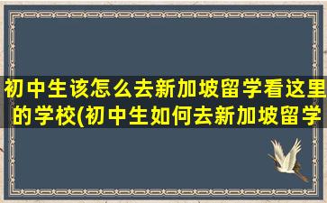 初中生该怎么去新加坡留学看这里的学校(初中生如何去新加坡留学)