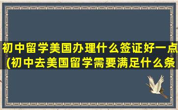 初中留学美国办理什么签证好一点(初中去美国留学需要满足什么条件)