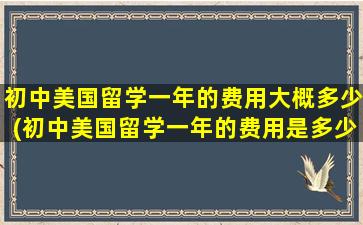 初中美国留学一年的费用大概多少(初中美国留学一年的费用是多少钱)