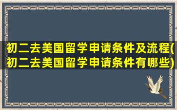 初二去美国留学申请条件及流程(初二去美国留学申请条件有哪些)