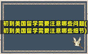 初到美国留学需要注意哪些问题(初到美国留学需要注意哪些细节)