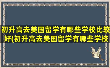 初升高去美国留学有哪些学校比较好(初升高去美国留学有哪些学校可以读)