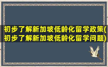 初步了解新加坡低龄化留学政策(初步了解新加坡低龄化留学问题)