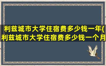 利兹城市大学住宿费多少钱一年(利兹城市大学住宿费多少钱一个月)