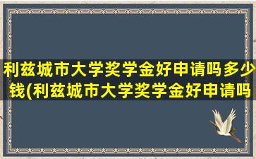 利兹城市大学奖学金好申请吗多少钱(利兹城市大学奖学金好申请吗现在)