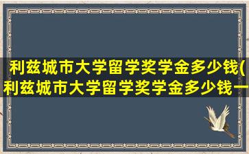 利兹城市大学留学奖学金多少钱(利兹城市大学留学奖学金多少钱一个月)