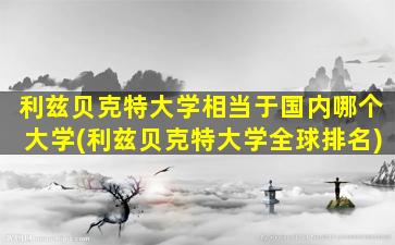 利兹贝克特大学相当于国内哪个大学(利兹贝克特大学全球排名)