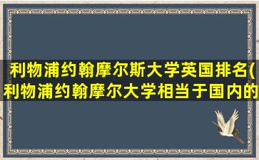 利物浦约翰摩尔斯大学英国排名(利物浦约翰摩尔大学相当于国内的什么大学)