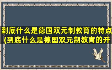 到底什么是德国双元制教育的特点(到底什么是德国双元制教育的开始)