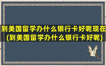 到美国留学办什么银行卡好呢现在(到美国留学办什么银行卡好呢)