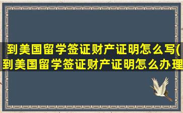 到美国留学签证财产证明怎么写(到美国留学签证财产证明怎么办理)