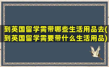 到英国留学需带哪些生活用品去(到英国留学需要带什么生活用品)