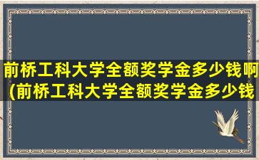 前桥工科大学全额奖学金多少钱啊(前桥工科大学全额奖学金多少钱一个月)