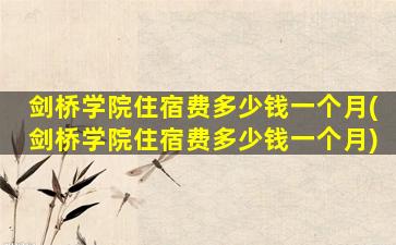 剑桥学院住宿费多少钱一个月(剑桥学院住宿费多少钱一个月)