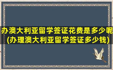 办澳大利亚留学签证花费是多少呢(办理澳大利亚留学签证多少钱)