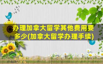 办理加拿大留学其他费用要多少(加拿大留学办理手续)