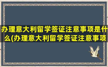 办理意大利留学签证注意事项是什么(办理意大利留学签证注意事项)