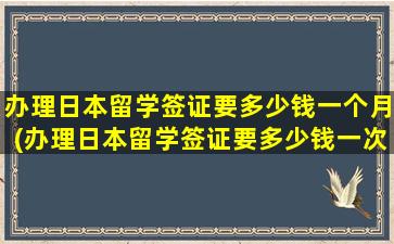 办理日本留学签证要多少钱一个月(办理日本留学签证要多少钱一次)