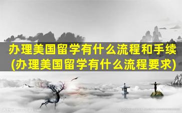 办理美国留学有什么流程和手续(办理美国留学有什么流程要求)