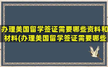 办理美国留学签证需要哪些资料和材料(办理美国留学签证需要哪些资料和手续)