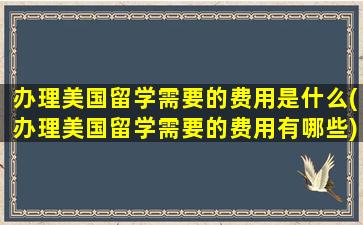 办理美国留学需要的费用是什么(办理美国留学需要的费用有哪些)