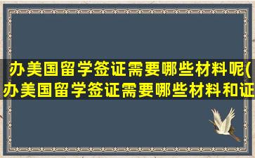 办美国留学签证需要哪些材料呢(办美国留学签证需要哪些材料和证件)