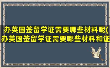 办英国签留学证需要哪些材料呢(办英国签留学证需要哪些材料和证件)