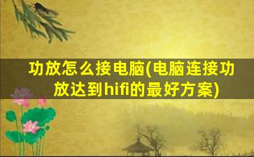 功放怎么接电脑(电脑连接功放达到hifi的最好方案)