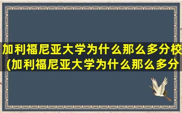 加利福尼亚大学为什么那么多分校(加利福尼亚大学为什么那么多分校)