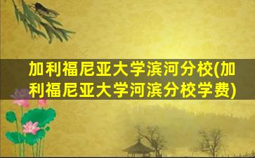 加利福尼亚大学滨河分校(加利福尼亚大学河滨分校学费)