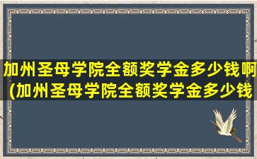 加州圣母学院全额奖学金多少钱啊(加州圣母学院全额奖学金多少钱一个月)