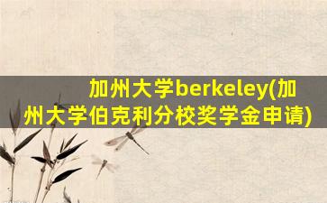 加州大学berkeley(加州大学伯克利分校奖学金申请)