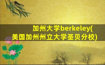 加州大学berkeley(美国加州州立大学圣贝分校)