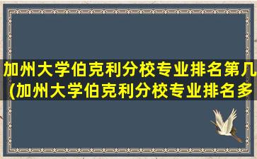 加州大学伯克利分校专业排名第几(加州大学伯克利分校专业排名多少)