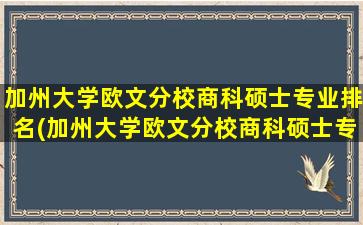 加州大学欧文分校商科硕士专业排名(加州大学欧文分校商科硕士专业怎么样)