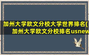 加州大学欧文分校大学世界排名(加州大学欧文分校排名usnews)