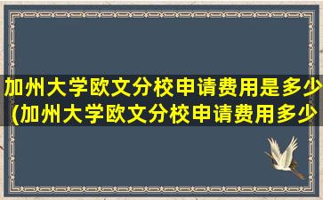 加州大学欧文分校申请费用是多少(加州大学欧文分校申请费用多少钱)