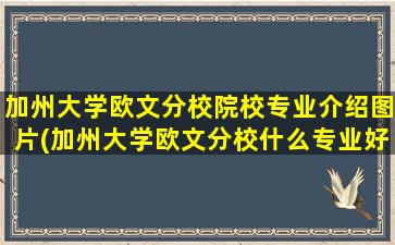 加州大学欧文分校院校专业介绍图片(加州大学欧文分校什么专业好)