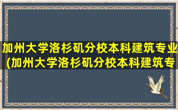 加州大学洛杉矶分校本科建筑专业(加州大学洛杉矶分校本科建筑专业排名)