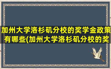 加州大学洛杉矶分校的奖学金政策有哪些(加州大学洛杉矶分校的奖学金政策怎么样)