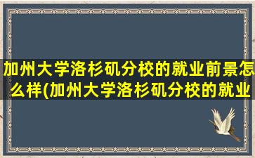 加州大学洛杉矶分校的就业前景怎么样(加州大学洛杉矶分校的就业前景)