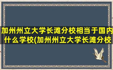 加州州立大学长滩分校相当于国内什么学校(加州州立大学长滩分校qs排名)